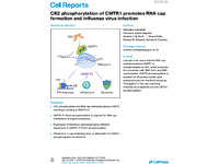 Preview of 329548.pdf