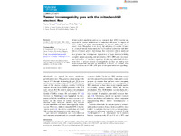 Preview of 326262.pdf