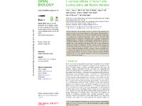 Preview of 323253.pdf