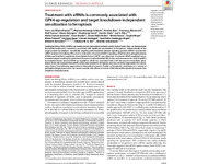 Preview of 323240.pdf
