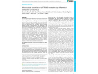 Preview of 319637.pdf