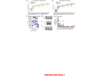Preview of 308778_Suppl.pdf