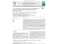 Preview of 307698pdf.pdf